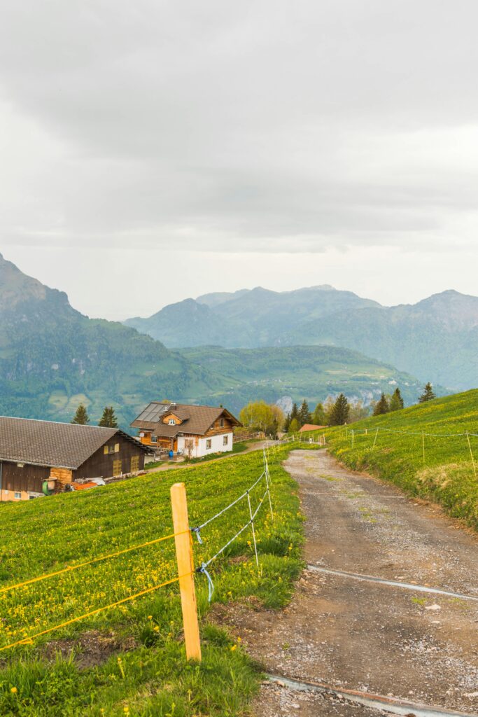 A dirt road leads through green hills and mountains. A dirt road leads through green hills and mountains.