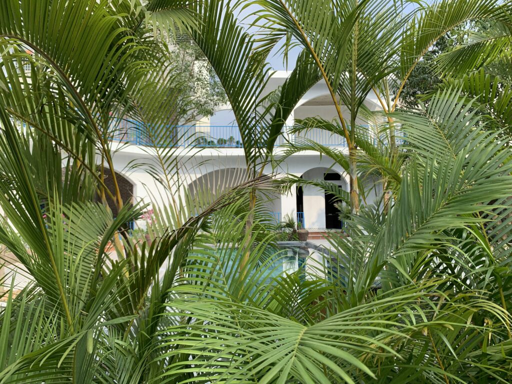 a house with a pool surrounded by palm trees a house with a pool surrounded by palm trees