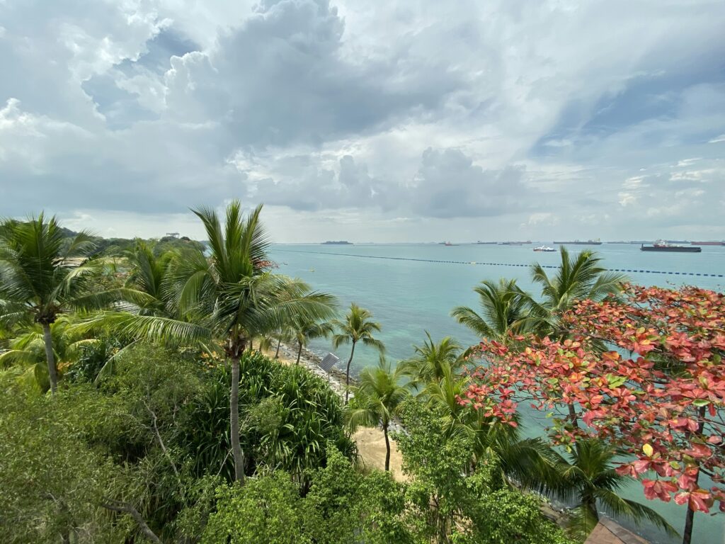 bird's-eye view photo of beach bird's-eye view photo of beach