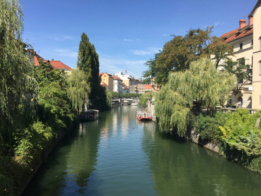 green trees beside river under blue sky during daytime green trees beside river under blue sky during daytime